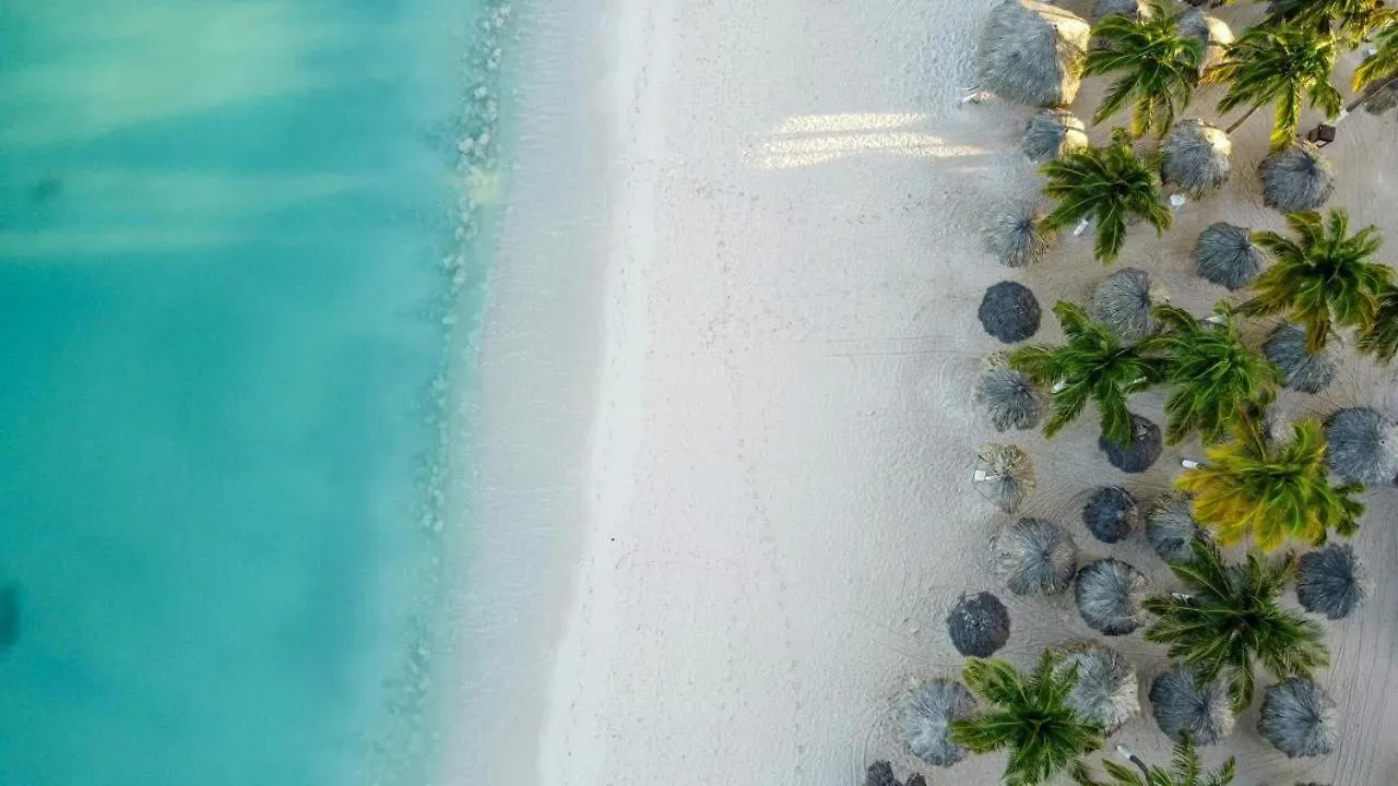אורנג'סטאד Eagle Stays Aruba-New Luxurious One Bedroom Apartment Near Eagle Beach!