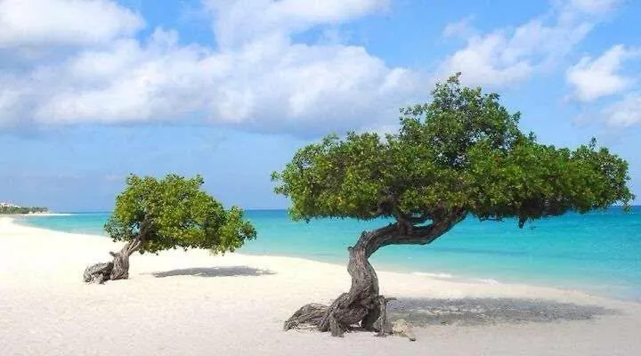 אורנג'סטאד Eagle Stays Aruba-New Luxurious One Bedroom Apartment Near Eagle Beach!