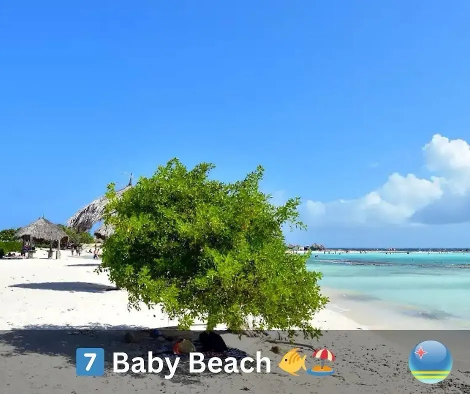 אורנג'סטאד Eagle Stays Aruba-New Luxurious One Bedroom Apartment Near Eagle Beach! 0*,
