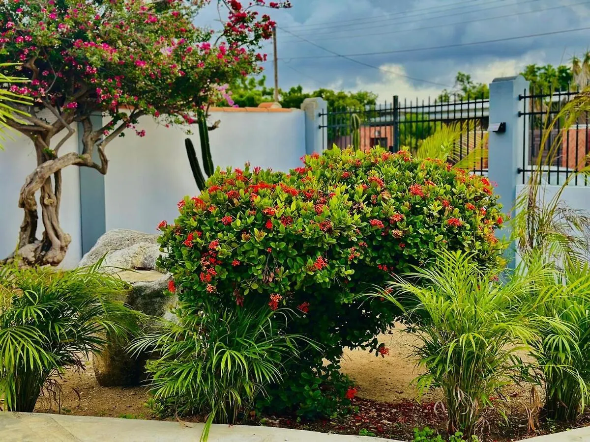 Eagle Stays Aruba-New Luxurious One Bedroom Apartment Near Eagle Beach! Oranjestad Aruba