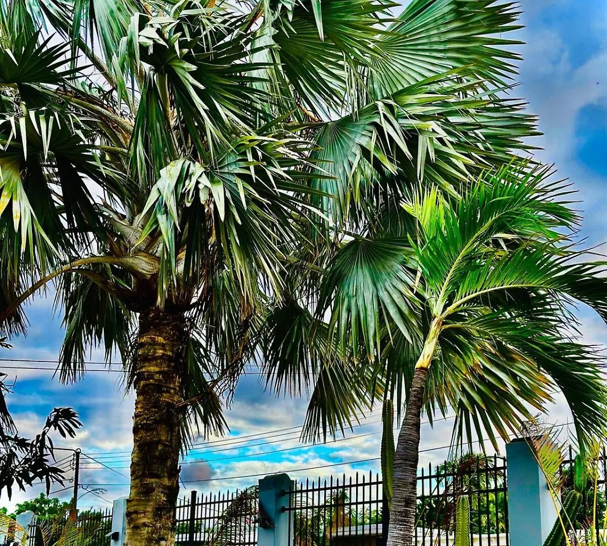 Eagle Stays Aruba-New Luxurious One Bedroom Apartment Near Eagle Beach! Oranjestad 0*,