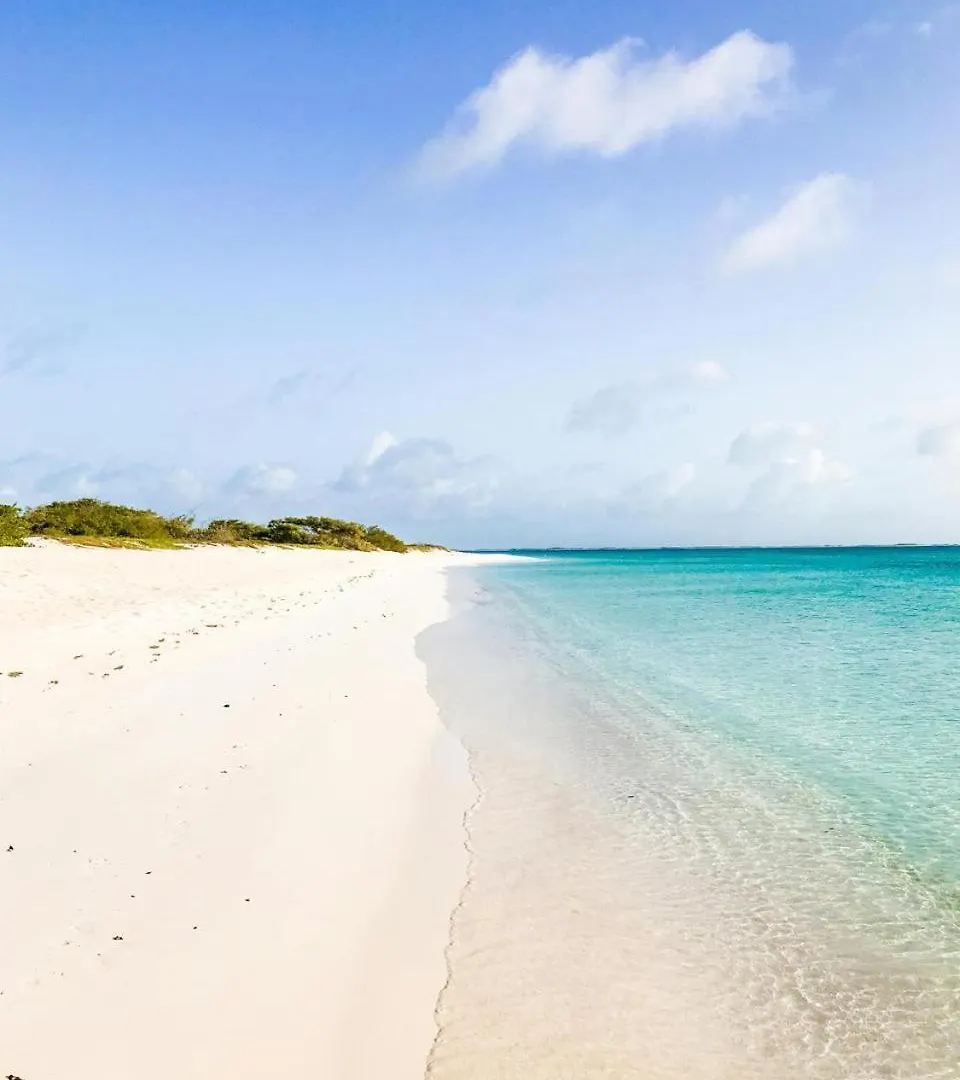 Eagle Stays Aruba-New Luxurious One Bedroom Apartment Near Eagle Beach! Oranjestad
