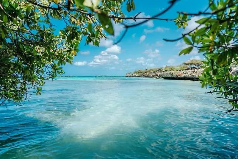 Eagle Stays Aruba-New Luxurious One Bedroom Apartment Near Eagle Beach! Oranjestad